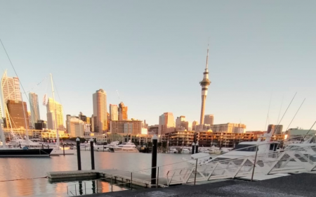 Auckland city