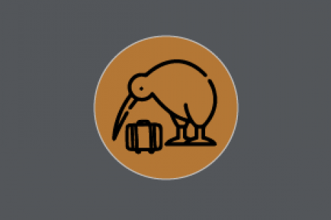 Policy page icons Domestic Tourism