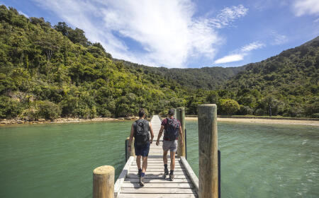 234061 queen charlotte track marlborough (1)