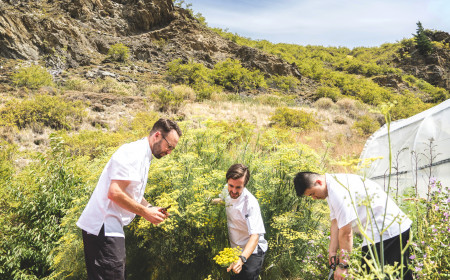 Gibbston Valley Tamasin Langton Chefs Harvesting Fennel