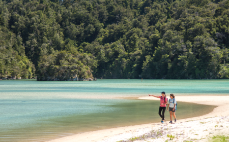 Screenshot 2025 11 19 155817