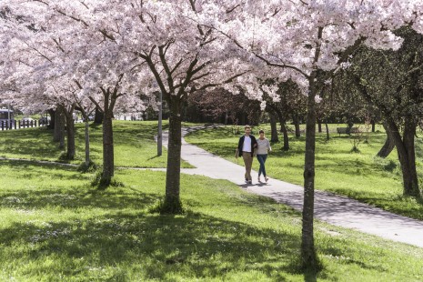 TRENZ 6 Hagley park web v2