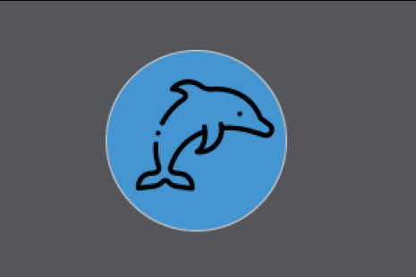 dolphin